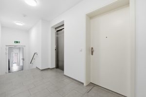 Hausflur  - Patrick Pfeiffer Immobilien